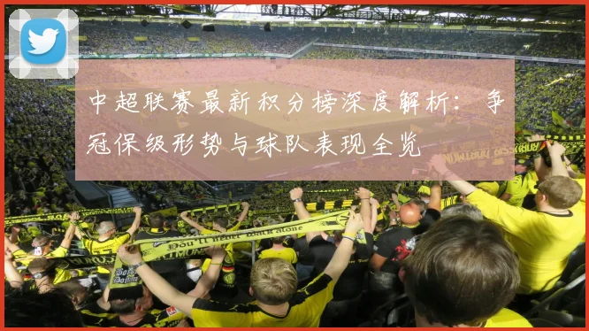 中超联赛最新积分榜深度解析:争冠保级形势与球队表现全览